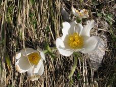 Klik za večjo sliko